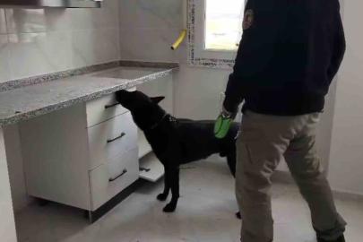 72 bin extacy yakalatıp "bizim değil" savunması yaptılar