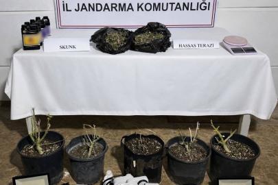 Aksu’da 243 gram uyuşturucu madde ele geçirildi