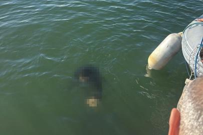 Akülü tekerlekli sandalyesiyle denize düşen kişi kurtarılamadı