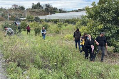 Antalya’da takla atan hafif ticari aracın sürücüsü yaralandı