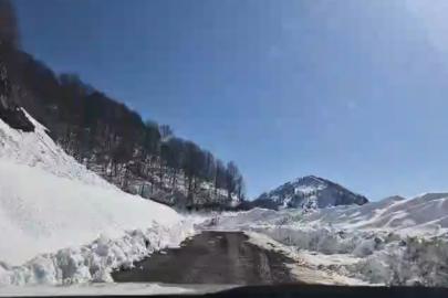 Artvin’de Macahel geçidi yeniden ulaşıma açıldı