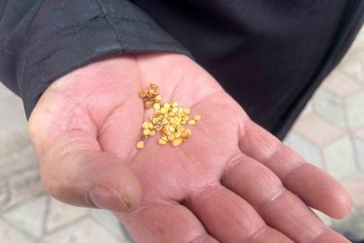 Ata tohumlarla tarımın hafızasını yaşatıyor