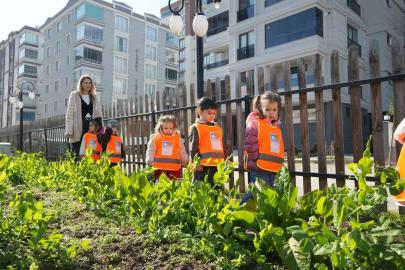 Atakum’da ata tohumla geleceğe yatırım