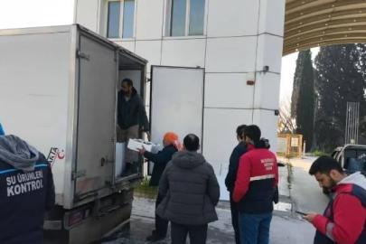 Aydın’da nakil belgesiz 290 kasa balığa el konuldu