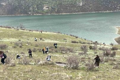 Bahar çiçeği nergisler doğaseverlerin ilgi odağı oldu