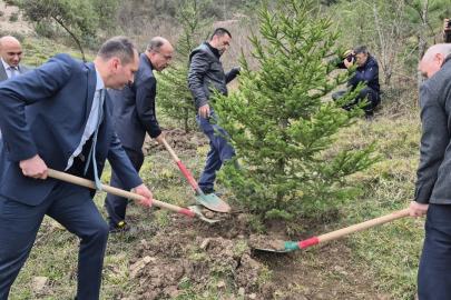 Bartın’da hükümlüler fidan dikti