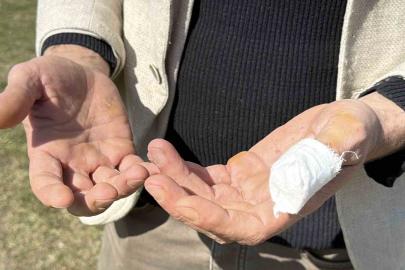 Başıboş pitbull, vatandaş ile köpeğine dehşeti yaşattı