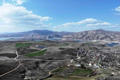 Başkan Çolakbayrakdar: "Türkiye’de ağaç dikmede rekor kırdık, şimdi yeni bir rekor için çalışıyoruz"