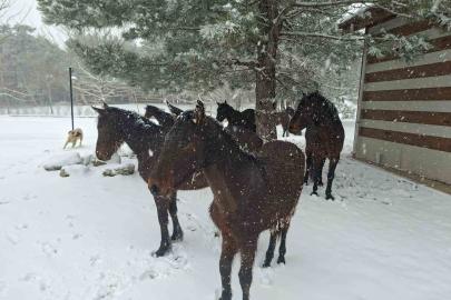Bayramda Spil’e kar sürprizi