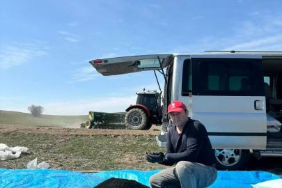 Beypazarı’nda çörek otu ekimi başladı