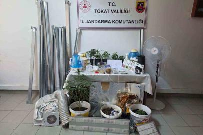 Bilgi notuyla apartman dairesinde uyuşturucu serası kurdular, jandarmadan kaçamadılar