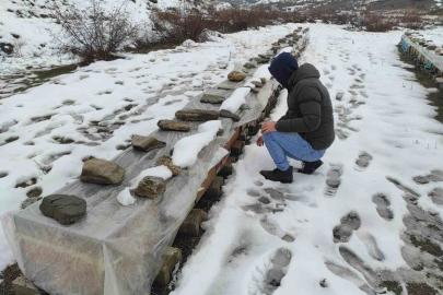 Birincilik getiren arılarını kış şartlarında özenle koruyor