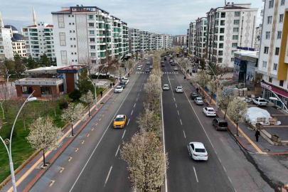 Bulvarlar süs armutlarıyla görsel şölene dönüştü