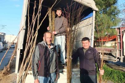 Burhaniye’de meyvecilik gelişiyor