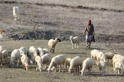 Bursa’da boğazından bıçaklanarak öldürülen kadının eski görüntüleri ortaya çıktı