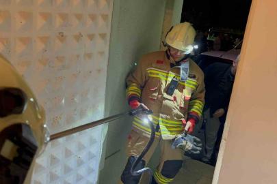 Camide görülen yılan yakalandı