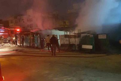 Çiftlik, alevlere teslim oldu