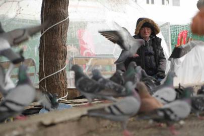 "Çocukların Kuşçu Dedesi" kuşlar için meydanı terk etmiyor