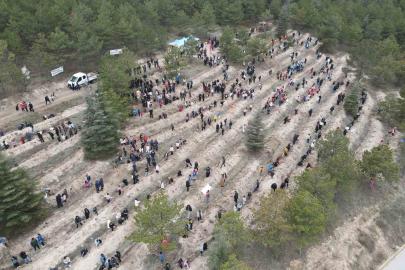 Çorum’da yüzlerce fidan toprakla buluştu
