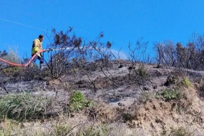 Defne’de çıkan bahçe yangınından alevler yükseldi