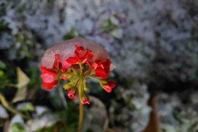 Denizli’de baharda yağan lapa lapa kar araçları yolda bıraktı