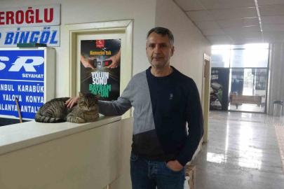 Depremde kaybolan ve 44 gün sonra ‘Kadir’ diyerek bulabildiği otogarın maskotu kedisine gözü gibi bakıyor