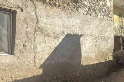 Depreme uyanan kadın dua ederek sarsıntının geçmesini bekledi