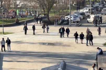 Domuz gribi vakalarında artış