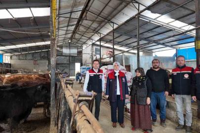 Düzce’de kadın yetiştiriciye etçi ırk düve desteği