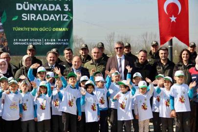 Düzce’de yüzlerce fidan toprakla buluştu