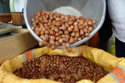 Düzce’den iki ayda bin 837 ton fındık ihraç edildi