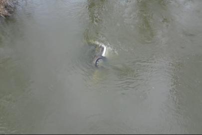 Edirne’de taşkında nehre düşen otomobil 1 ay sonra bulundu