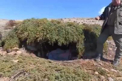 Elazığ’da kaçak meterisler  imha edildi