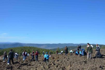 Emet’te zeytin fidanları toprakla buluştu