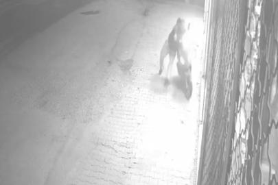 Gaza bastı, motosikletten düştü