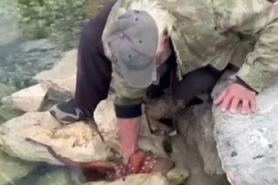 Görenler gözlerine inanamadı: Kayalıktaki dev ahtapotu elleriyle avladı