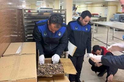 Haliliye’de 180 kilogram küflenmiş ceviz ele geçirildi