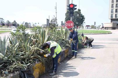 Hatay Büyükşehir Belediyesi bitkide dışa bağımlılığı en aza indirmeyi hedefliyor