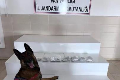 İçişleri Bakanlığı: "Van ve Hakkari’de 320 kilogram uyuşturucu madde ele geçirildi"
