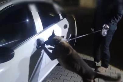 İstanbul’dan takibe alındılar, Sakarya’da yakalandılar: 2 kişi tutuklandı