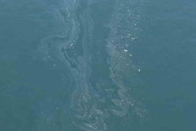 İzmir Körfezi’nde yine kirlilik tespit edildi