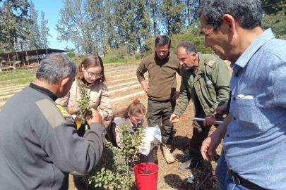 İzmir’in damla sakızı KKTC’de toprakla buluştu