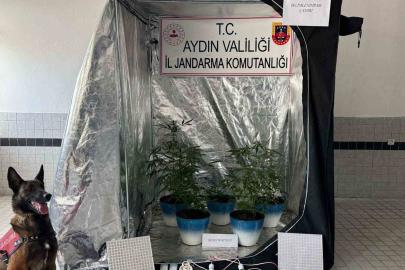 Jandarma narkotik affetmedi