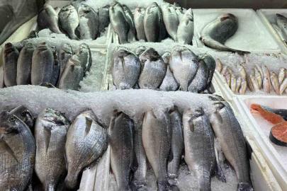 Kahramanmaraş’ta su ürünleri av yasağı başladı