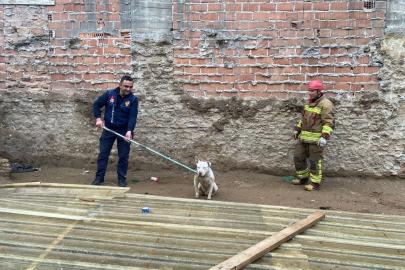 Kapalı inşaat çukuruna düşen köpeği itfaiye kurtardı