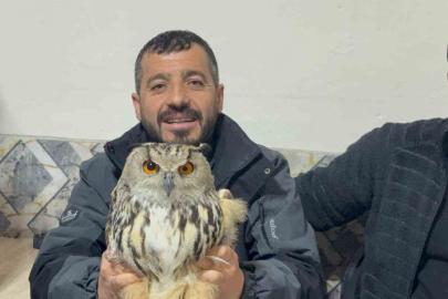 Kars’ta yaralı puhuya şefkat eli