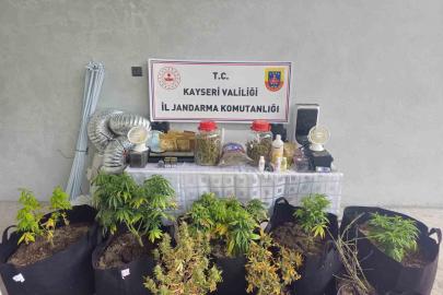 Kayseri’de evinde uyuşturucu yetiştiren şüpheli gözaltına alındı