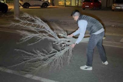 Kaza sonrası cam ve plastik parçalarıyla dolan yolu vatandaş kırılan ağaçla böyle temizledi