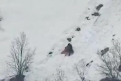 Kış uykusundan uyanan ayıların kar keyfi