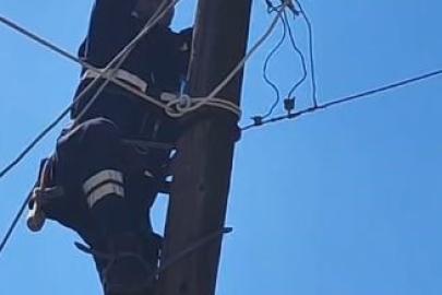 Köpeklerden korkup elektrik direğine çıkan kedi kurtarıldı